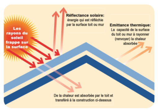 Infographie